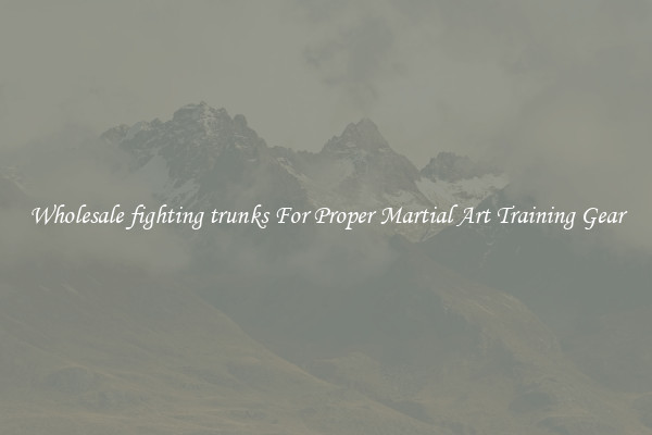 Wholesale fighting trunks For Proper Martial Art Training Gear