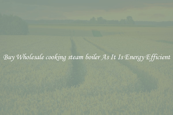 Buy Wholesale cooking steam boiler As It Is Energy Efficient