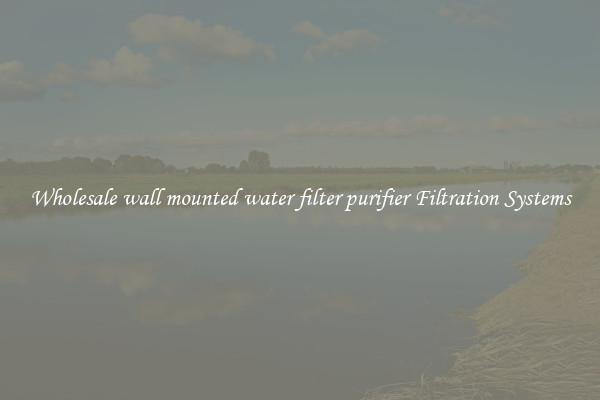 Wholesale wall mounted water filter purifier Filtration Systems