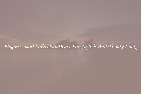 Elegant small ladies handbags For Stylish And Trendy Looks
