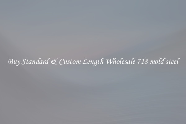 Buy Standard & Custom Length Wholesale 718 mold steel