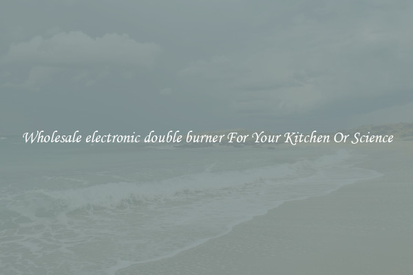 Wholesale electronic double burner For Your Kitchen Or Science
