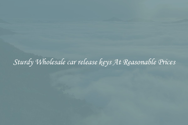 Sturdy Wholesale car release keys At Reasonable Prices