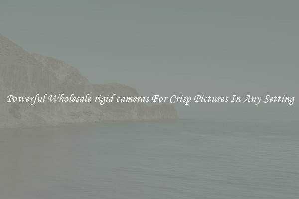 Powerful Wholesale rigid cameras For Crisp Pictures In Any Setting