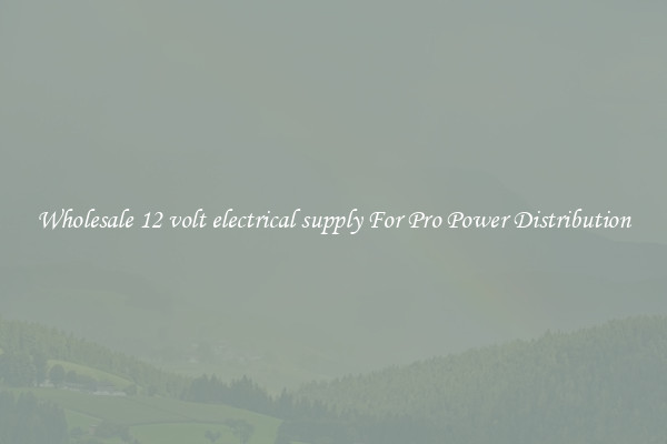Wholesale 12 volt electrical supply For Pro Power Distribution
