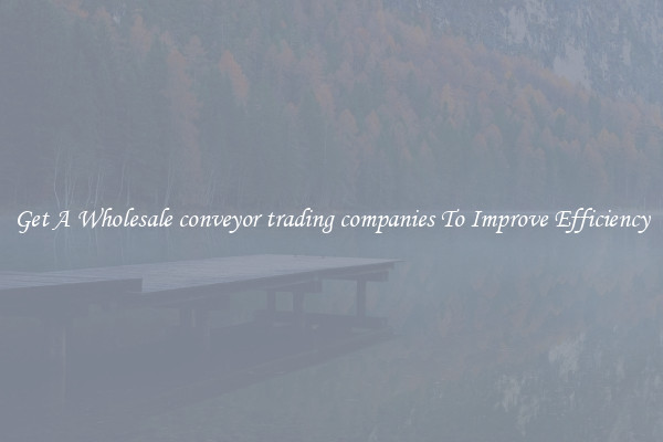 Get A Wholesale conveyor trading companies To Improve Efficiency