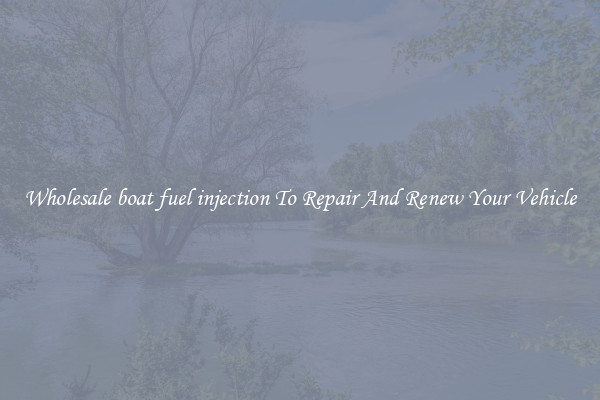 Wholesale boat fuel injection To Repair And Renew Your Vehicle