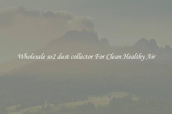 Wholesale so2 dust collector For Clean Healthy Air