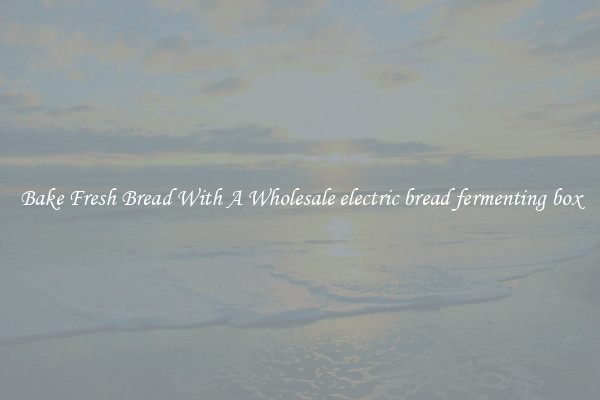 Bake Fresh Bread With A Wholesale electric bread fermenting box
