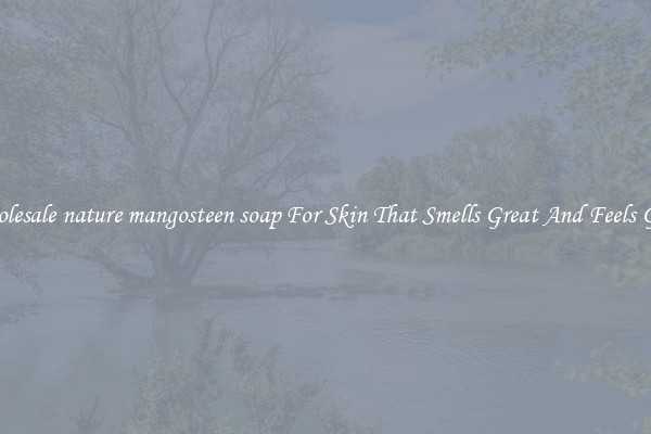Wholesale nature mangosteen soap For Skin That Smells Great And Feels Good