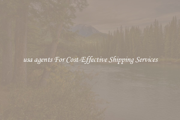 usa agents For Cost-Effective Shipping Services