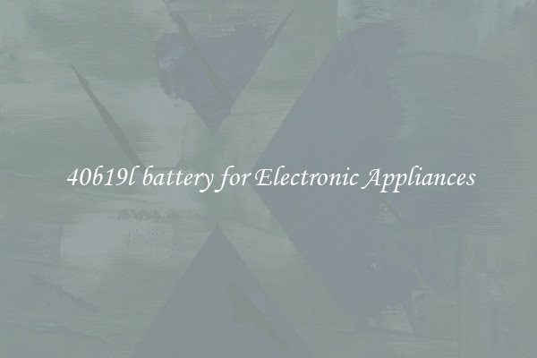 40b19l battery for Electronic Appliances