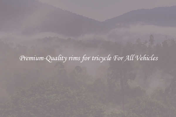 Premium-Quality rims for tricycle For All Vehicles