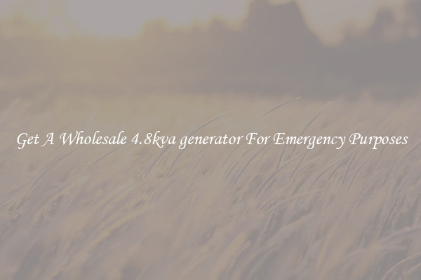 Get A Wholesale 4.8kva generator For Emergency Purposes