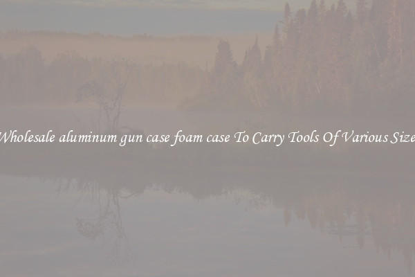 Wholesale aluminum gun case foam case To Carry Tools Of Various Sizes