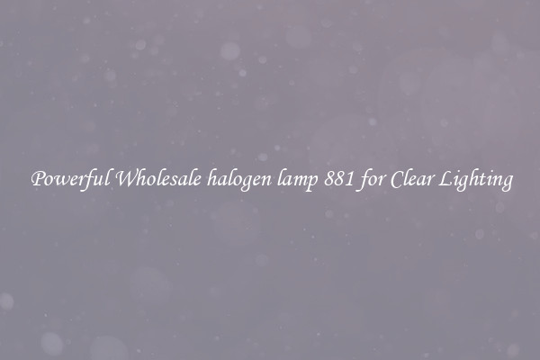 Powerful Wholesale halogen lamp 881 for Clear Lighting
