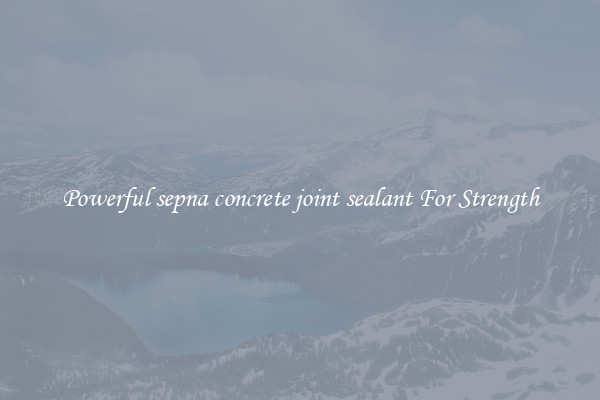 Powerful sepna concrete joint sealant For Strength