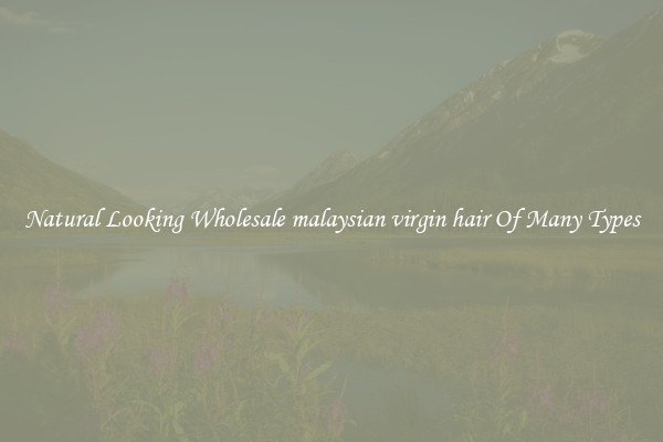 Natural Looking Wholesale malaysian virgin hair Of Many Types