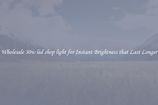 Wholesale 30w led shop light for Instant Brightness that Last Longer