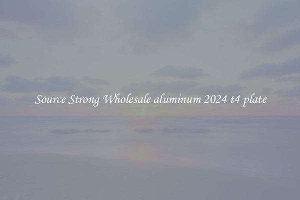 Source Strong Wholesale aluminum 2024 t4 plate